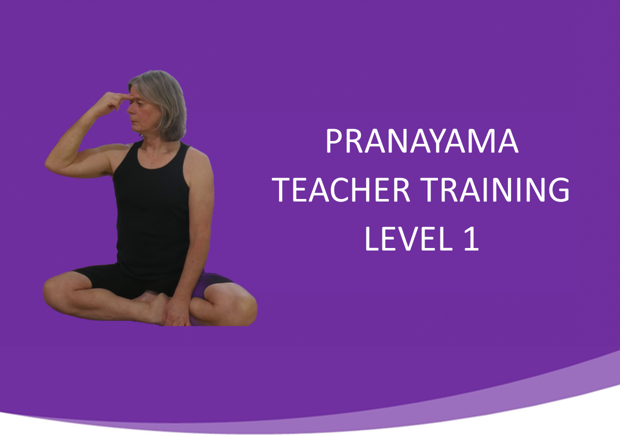 Yoga Dharma yoga your way